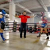 Ratusan Atlet Muay Thai Berlaga di Mall Boxies 123