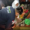 Polres Bogor Kerahkan Tim Kesehatan Bantu Korban Gempa di Cianjur
