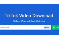 Cara Download Video TikTok Tanpa Watermark, Mudah Pakai SnapTik dan SSSTik