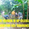 Sertu Herwan Afianto Laksanakan Giat Karbak di Kp Cileley Desa Sukatani Kecamatan Parakansalak