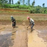 Peltu Dasik Babinsa Dampingan LTT Poktan Tunas Harapan di Desa Pangkalan