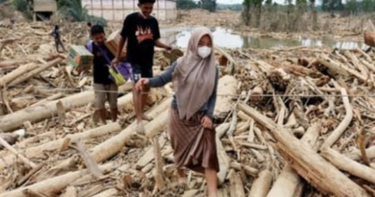Bencana Banjir Aceh-Sumatra 2025: Cermin Kegagalan Tata Kelola Hutan Nasional