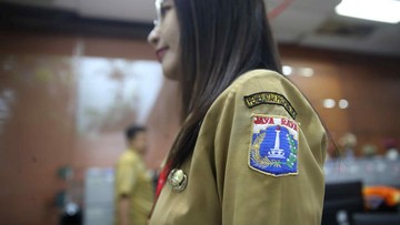 Ilustrasi PNS. Foto: Pradita Utama