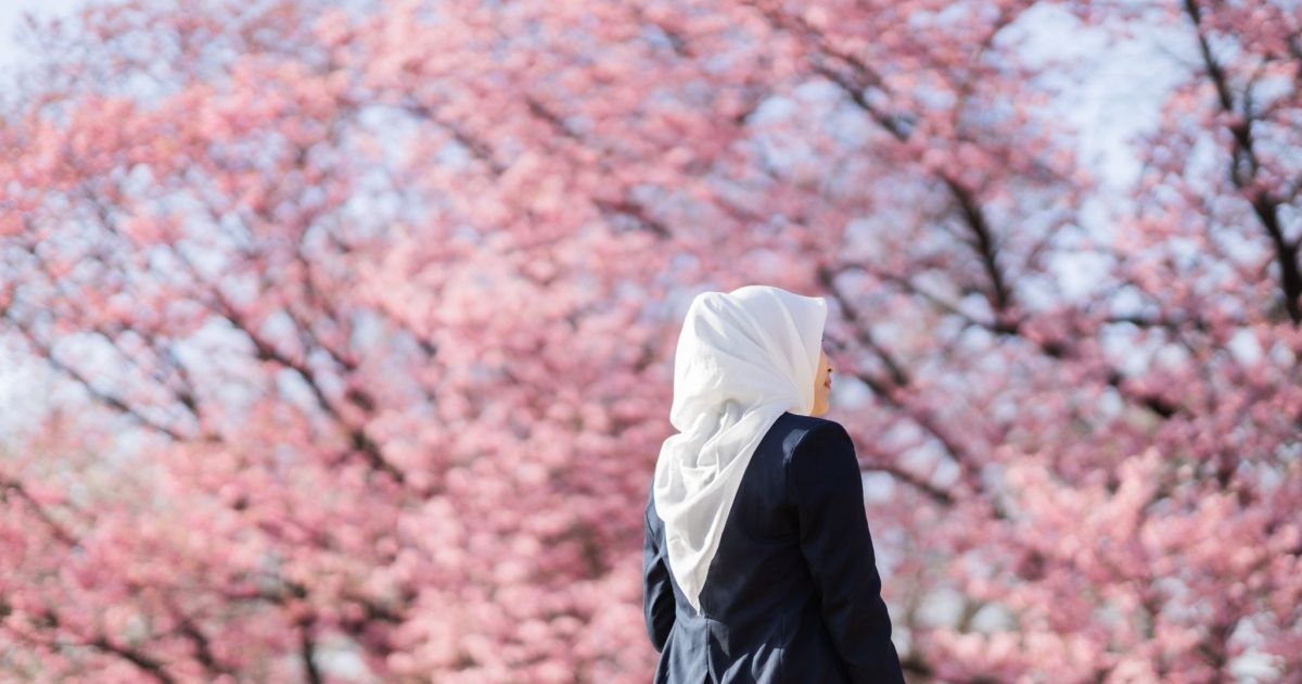 Mega Founder PT. Meghantara Global Group, saat di Tengah Kebun Bunga Sakura di Jepang