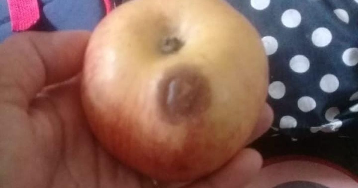 Wali Murid Keluhkan Kualitas Paket Makan Bergizi Gratis di Cibungbulang