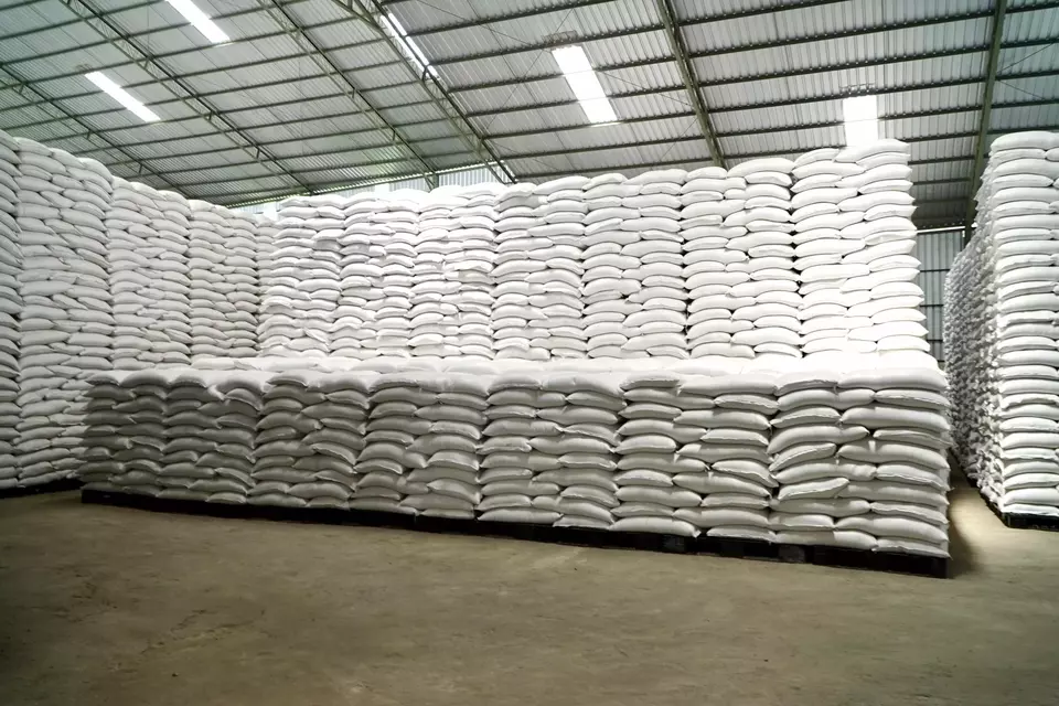 Ilustrasi beras. (Istimewa)