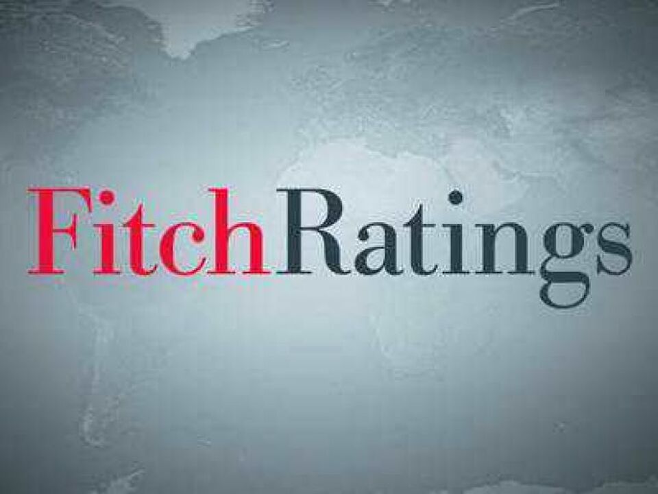 Fitch Rating (istimewa/istimewa)