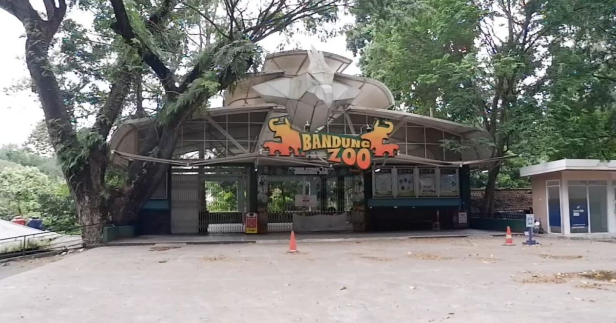 Pemerintah Kota (Pemkot) Bandung resmi menutup sementara operasional Kebun Binatang Bandung (Bandung Zoo) selama masa libur Hari Raya Idulfitri 2026.Foto Net.