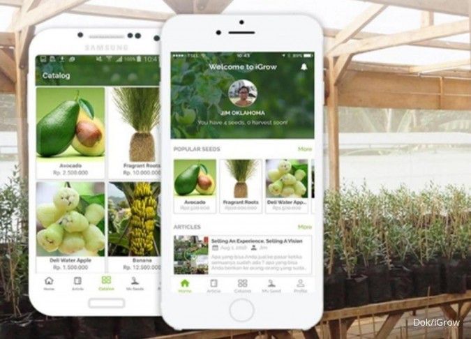 ILUSTRASI. Aplikasi iGrow (Dok/iGrow)