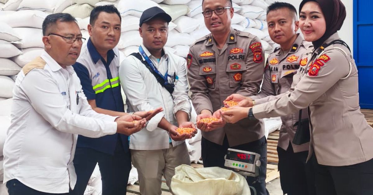 Dukung Ketahanan Pangan, Polres Garut Serap 17,75 Ton Jagung Hasil Panen Petani