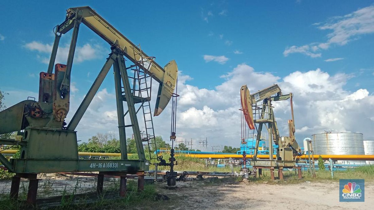 Foto: Pompa angguk Wilayah Kerja (WK) Rokan PT Pertamina Hulu Rokan (PHR). (CNBC Indonesia/Pratama Guitarra)