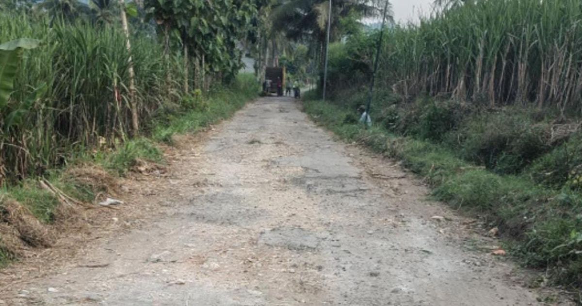 “Jalan tebu maut” di Kalipare kembali makan korban, warga geram 10 tahun tak ada perbaikan.(Sanusi)