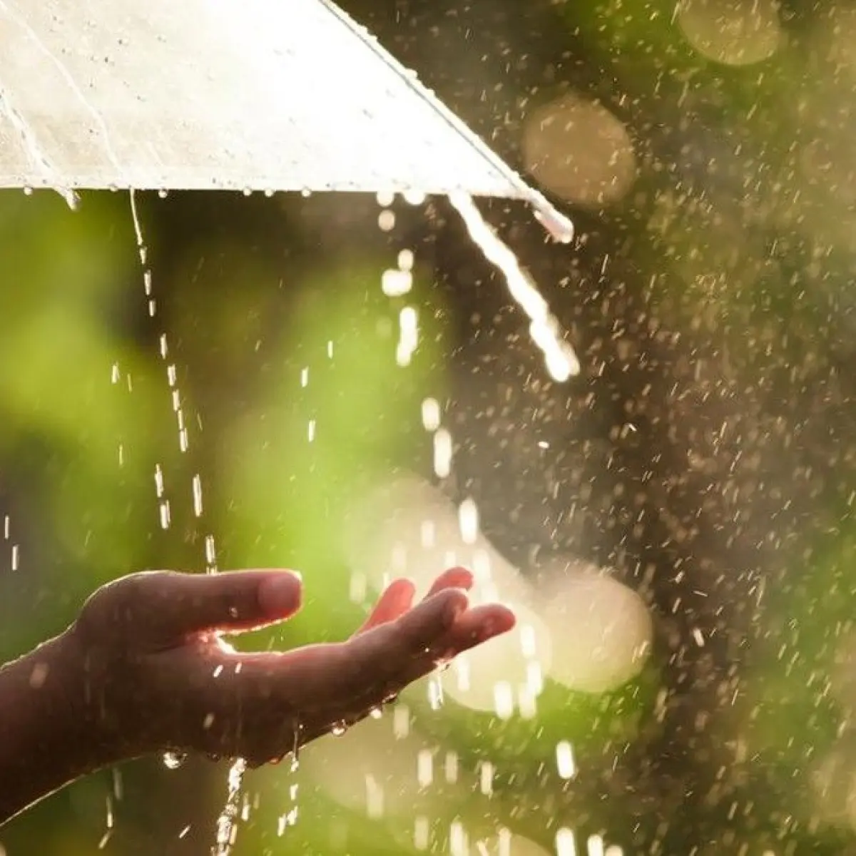 Ilustrasi hujan. Foto: Getty Images/iStockphoto/Sasiistock