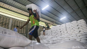 Cadangan Pangan Nasional Terjamin: Pemerintah Klaim Stok Beras Mampu Tangkal Dampak El Nino Hingga 15 Bulan
