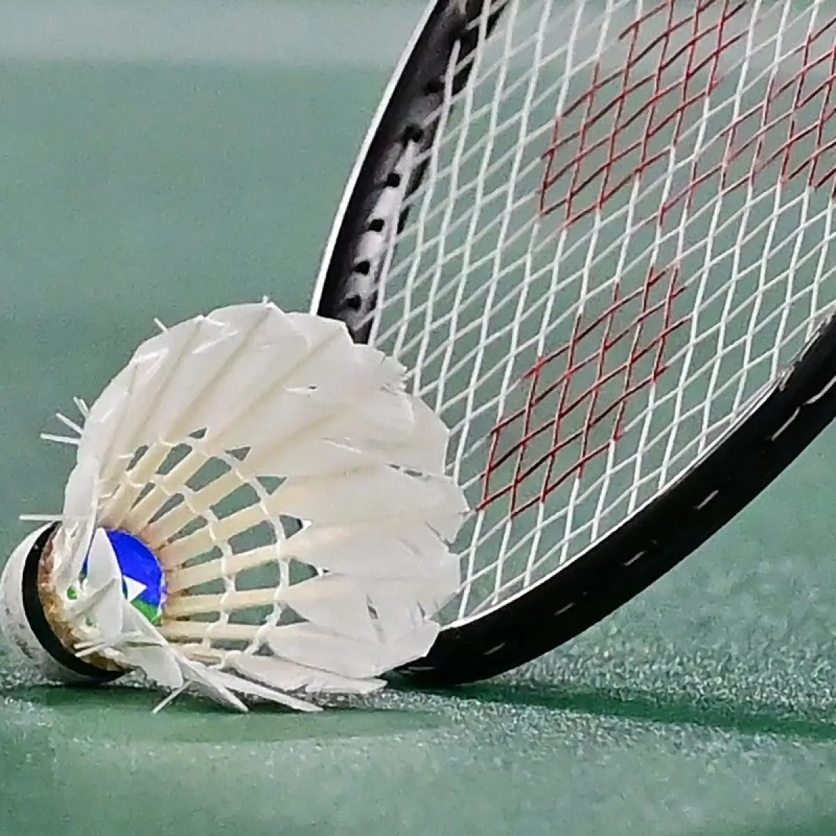 Foto: AFP via Getty Images/PEDRO PARDO