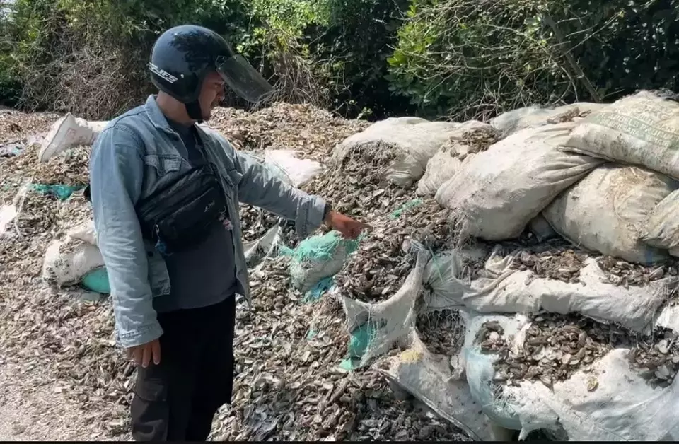 Tumpukan Sampah Kerang Cemari Jalan Desa Mertasinga, Akses ke TPI Terganggu