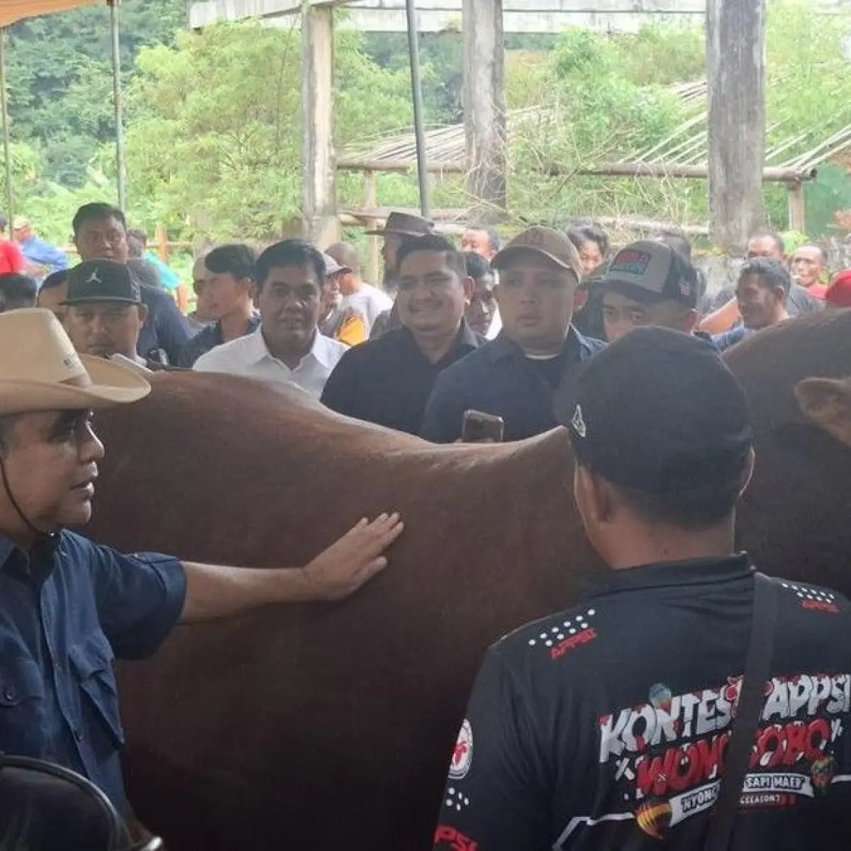 Foto: Ketua MPR RI Ahmad Muzani membuka Kontes Sapi APPSI di Wonosobo, Jawa Tengah. (dok. istimewa)