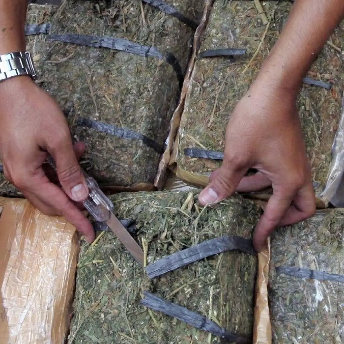 Foto: Ilustrasi ganja kering. (Agung Pambudhy/detikcom)