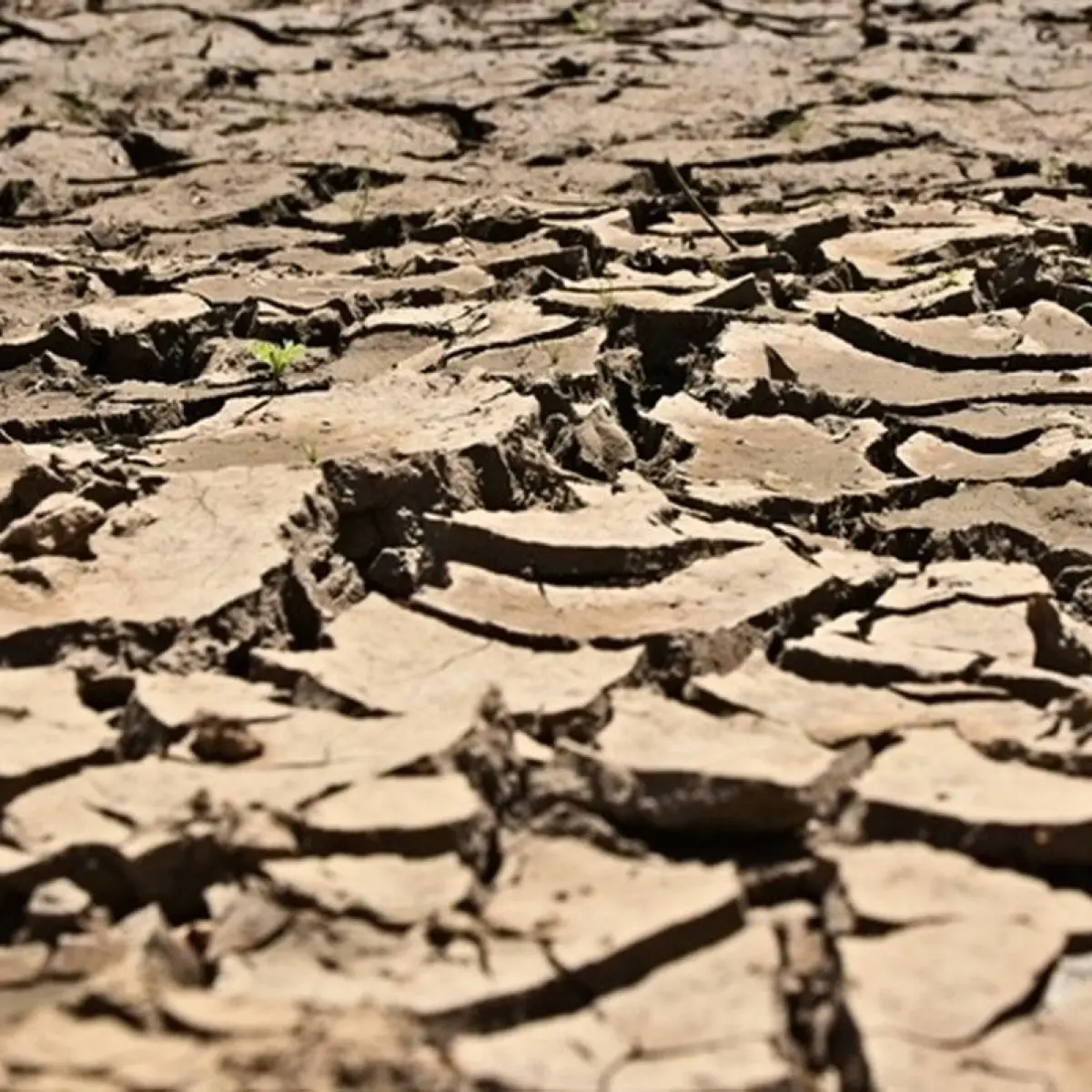 Misteri Pemanasan Anular di Pasifik: Ilmuwan Awasi Potensi Kemunculan Super El Nino 2026