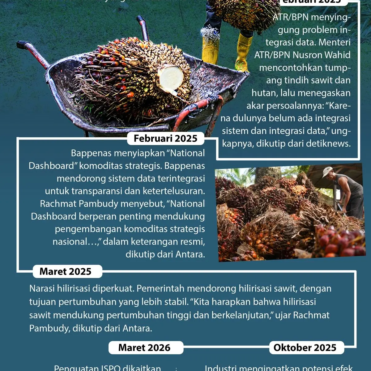 Foto: Infografis/detikcom