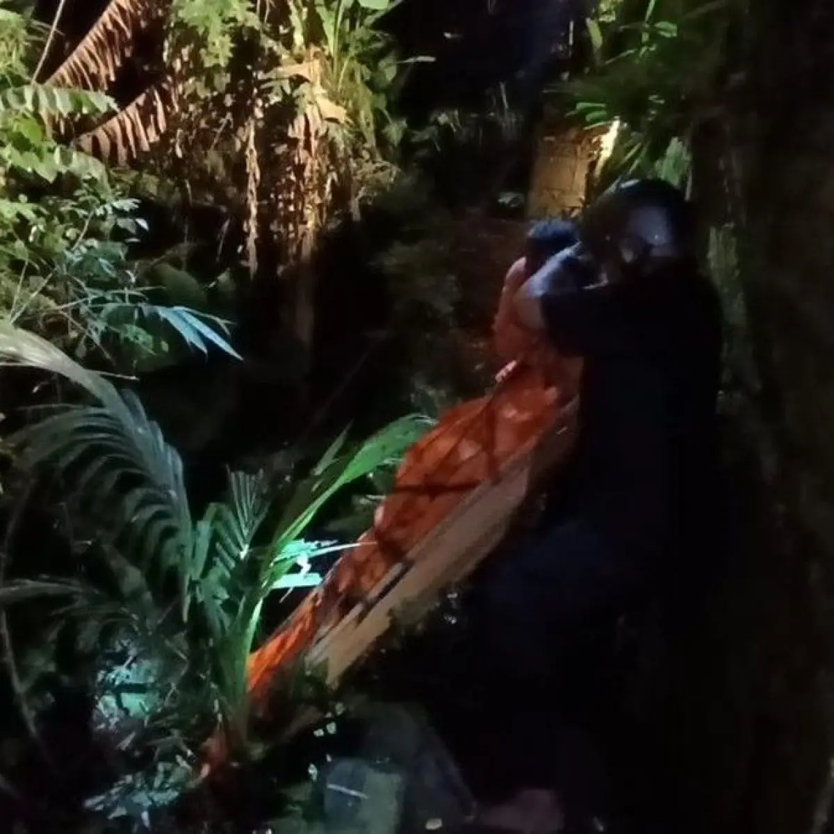 Foto: Petugas BPBD Gianyar dan Polsek Ubud mengevakuasi jenazah WN Swedia, Kenneth Juan Fujita, dari jurang Banjar Kutuh Kaja, Desa Petulu, Kecamatan Ubud, Gianyar, Selasa (28/4/2026). (Dok BPBD Gianyar)