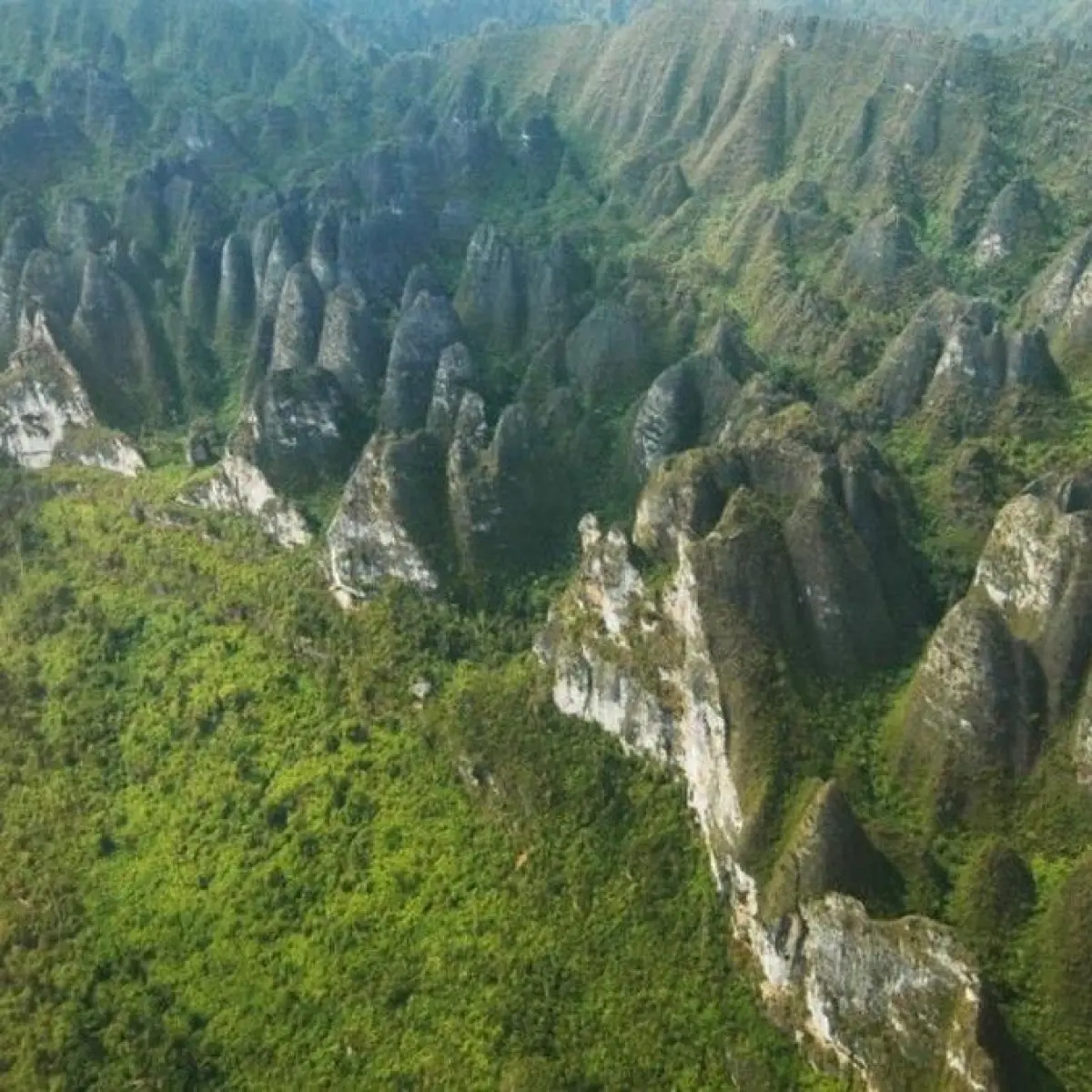 Foto: Gunung Karst Sangkulirang-Mangkalihat. Foto: laman resmi Pemerintah Kalimantan Timur dan Kutai Timur