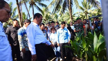Menteri Pertanian Sidak Manado: Bibit Kelapa di Bawah Standar Jadi Sorotan Utama