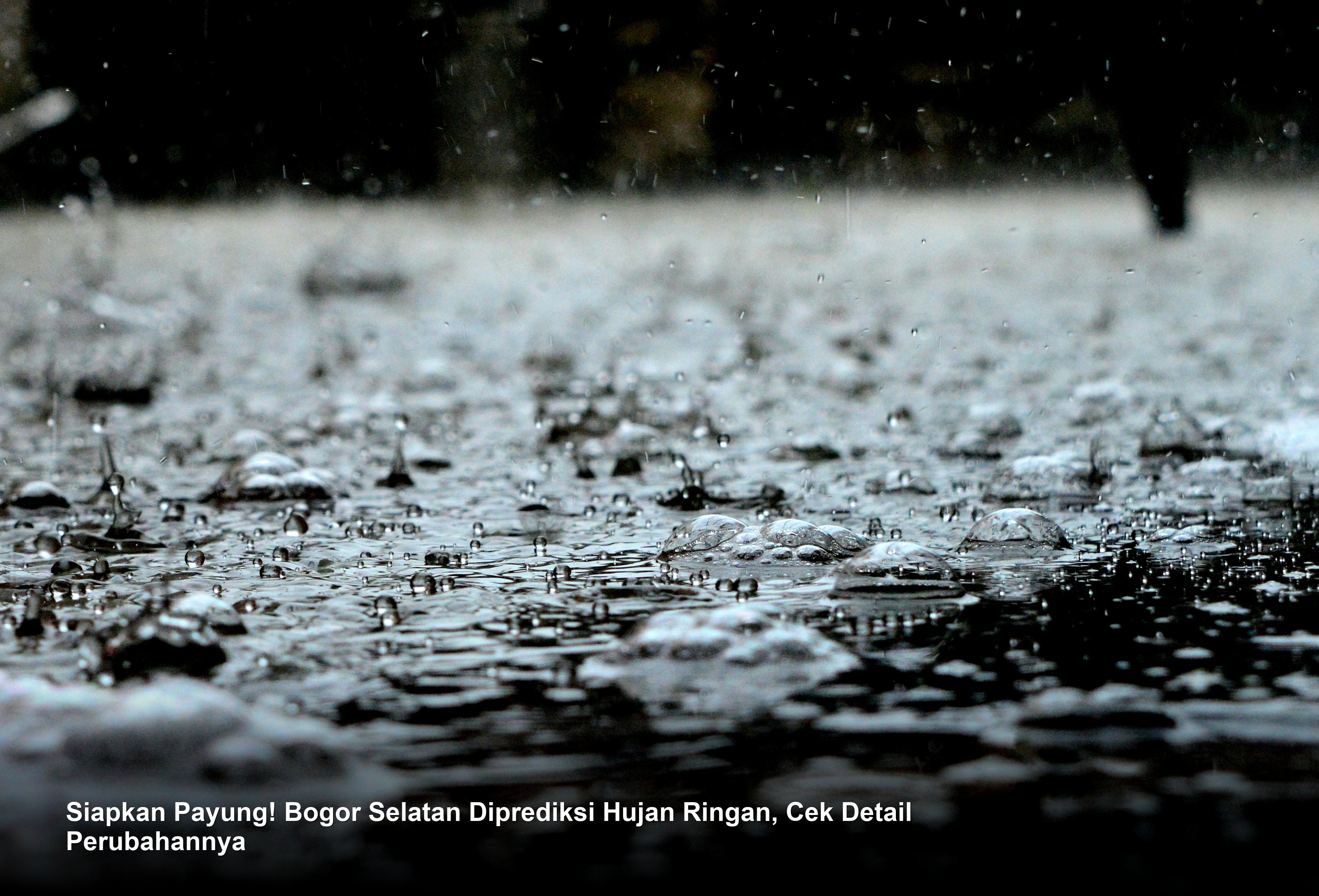 Cuaca Wilayah Kota Bogor dan Sekitarnya