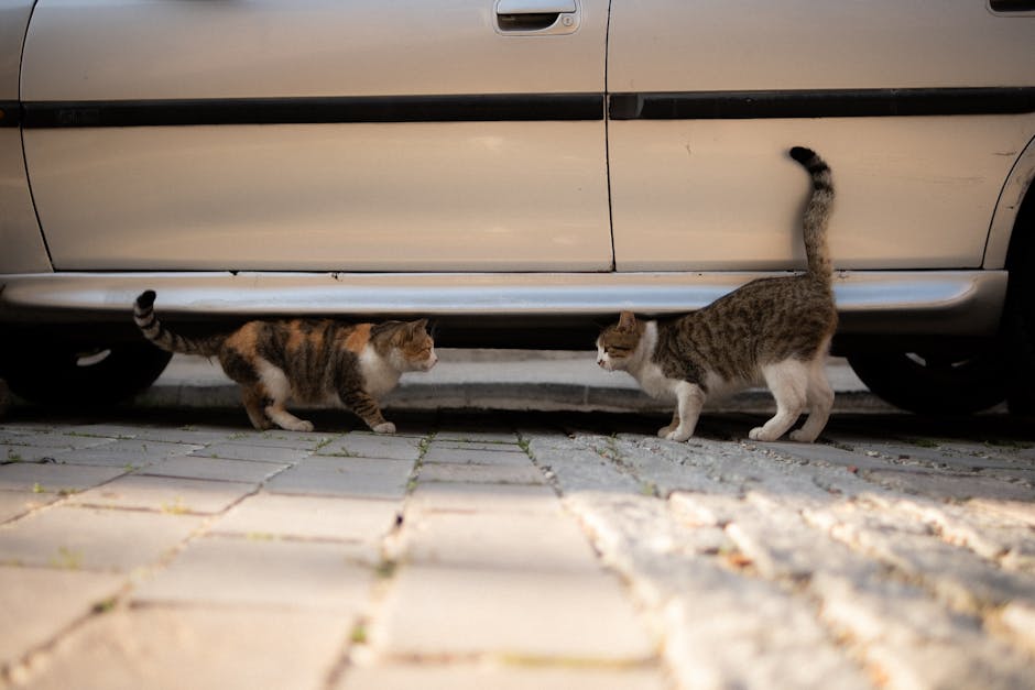 Ilustrasi mobil modern yang menampilkan sistem bantuan pengemudi canggih (ADAS) di jalan raya perkotaan.