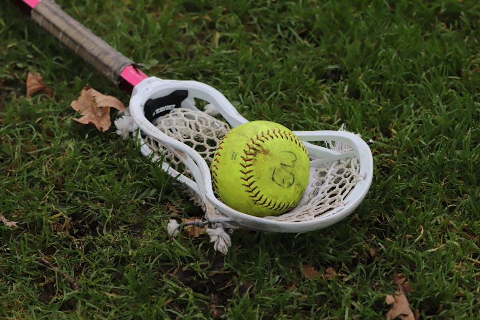 Menggali Potensi Juara: Infrastruktur dan Pembinaan Kunci Emas Olahraga Nasional