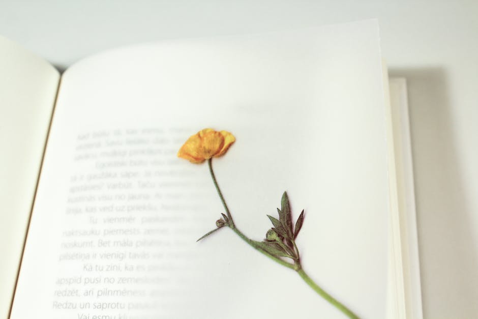 Badai yang Mengubah: Menemukan Jati Diri di Pelosok Sunyi