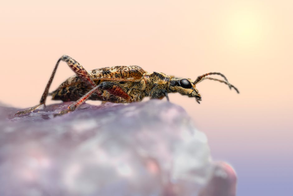 Ilustrasi simbol zodiak Cancer yang bercahaya dengan latar belakang langit malam yang penuh bintang.